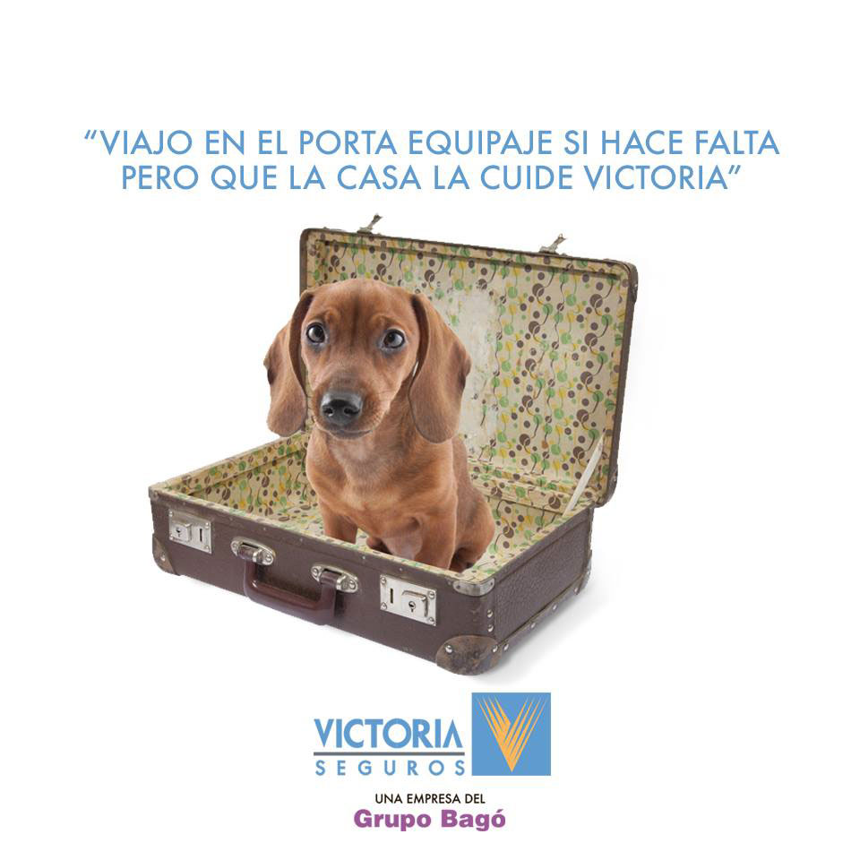 Victoria Seguros