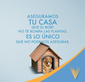 Victoria Seguros