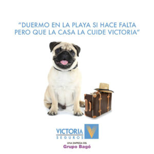 Victoria Seguros
