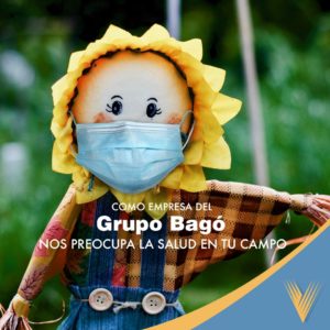 Victoria Seguros