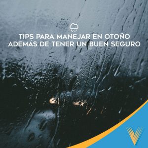 Victoria Seguros