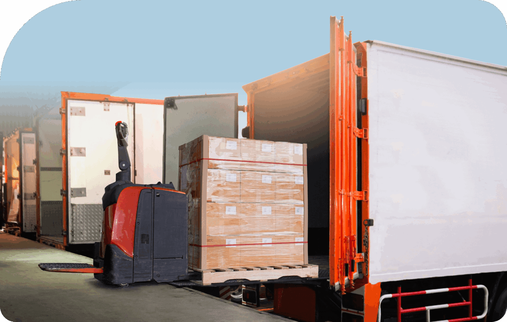 Seguros de Transporte