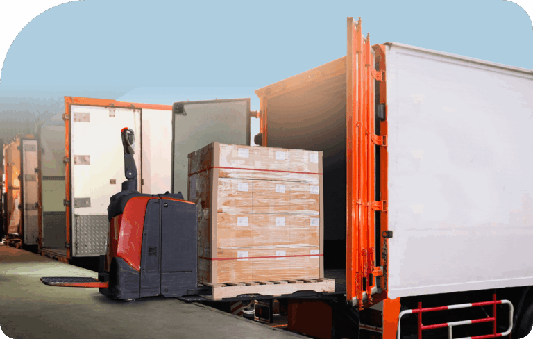 Seguros de Transporte