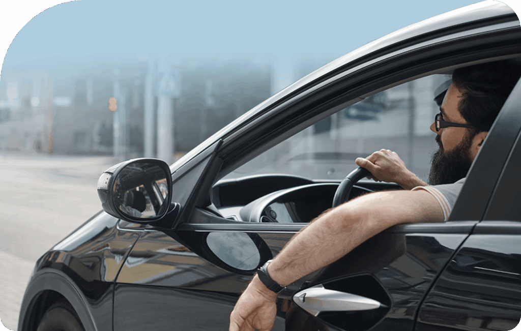 Seguros para automotores: Totales
