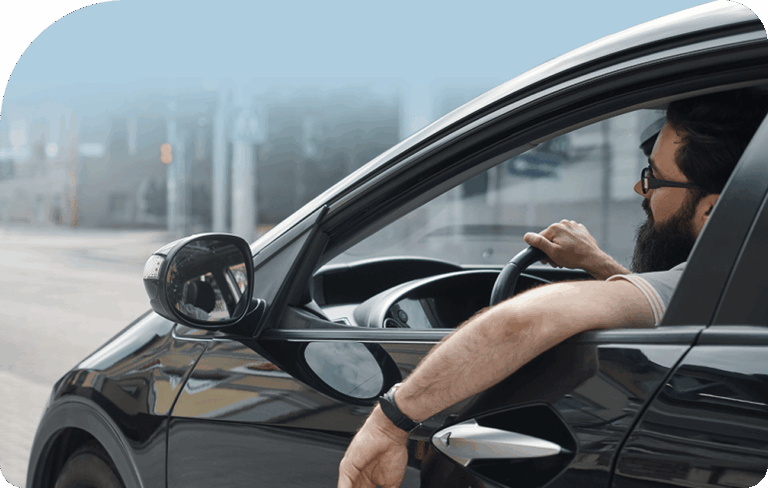 Seguros para automotores: Totales